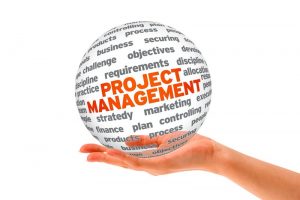 project_management_globe